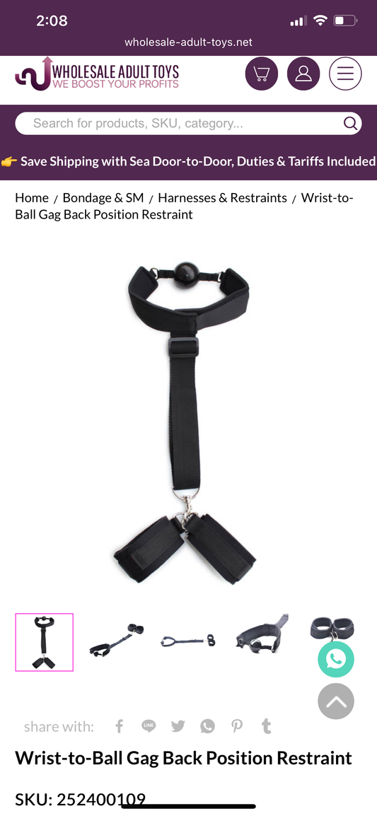 Wrist-to-Ball Gag Back Position Restraint