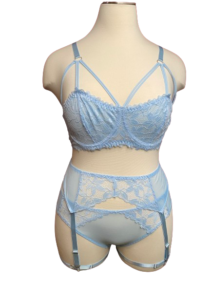 Best Behavior Desirables Lingerie & Accessories