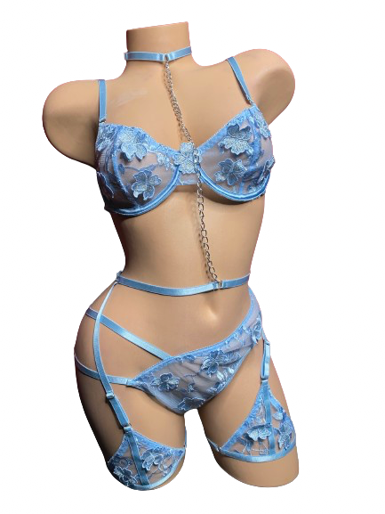 Dazzling Star Desirables Lingerie & Accessories