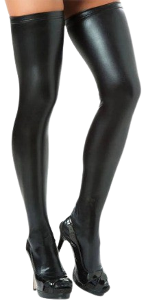 Fax Leather Stocking W Zipper Desirables Lingerie & Accessories