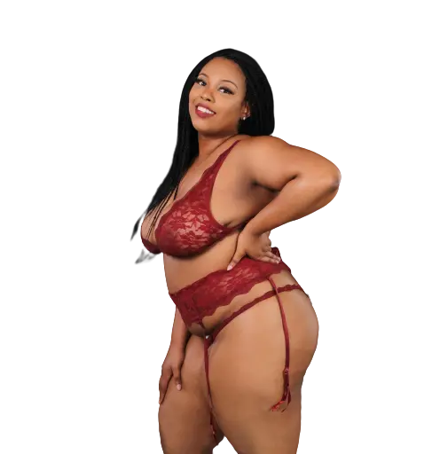 The Retrograde Desirables Lingerie & Accessories